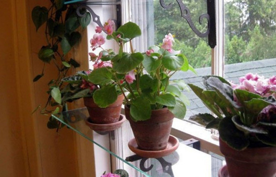 ТАСАЛГААНЫ ЦЭЦГИЙГ АРЧЛАХ ДОЛООН АРГА