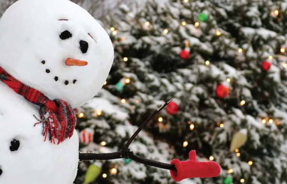 ШИНЭ ЖИЛИЙГ САНАГДУУЛДАГ ЗҮЙЛС 