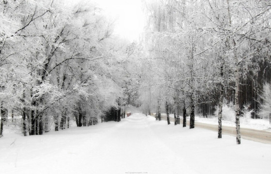 ЦАГ АГААР: Улаанбаатар хотод өдөртөө 11 хэм хүйтэн 