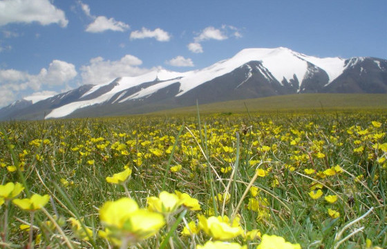 ГАЗРЫН ЕРӨНХИЙ ХУУЛЬД АНХААРЛАА ХАНДУУЛЪЯ