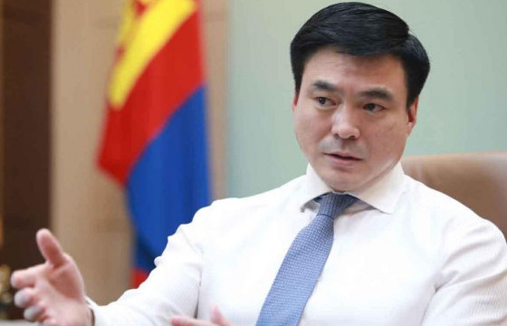 С.АМАРСАЙХАН: НЭМҮТ-ийн үйл ажиллагааг эрчимжүүлж, иргэдийг ханиад томуу, халдварт өвчнөөс урьдчилан сэргийлэх чиглэлийг УОК-д өглөө