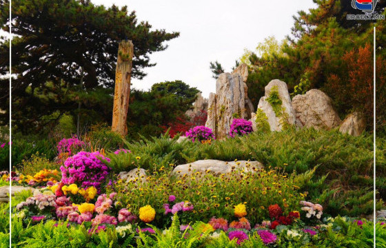 ФОТО СУРВАЛЖИЛГА: БНХАУ-ын Бээжин хотын 