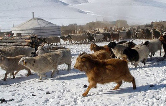 ОТГОН СУМЫН ЦАГ УУРЧ В.БАТЖАРГАЛ: ӨНГӨРСӨН ШӨНӨ МАНАЙ СУМАНД -45.3 ХЭМ ХҮРЧ, ХҮЙТЭРСЭН