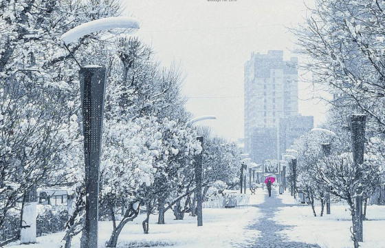 ЦУОШГ: Урьд шөнө 1975 оноос хойших хамгийн хүйтэн шөнө гэсэн нь худал мэдээлэл