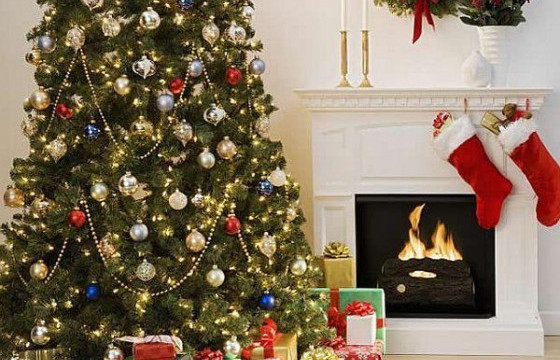 ГАЦУУР МОДОО ЗАСАХДАА  СОНСОХОД ТОХИРОМЖТОЙ ТАВАН ДУУ