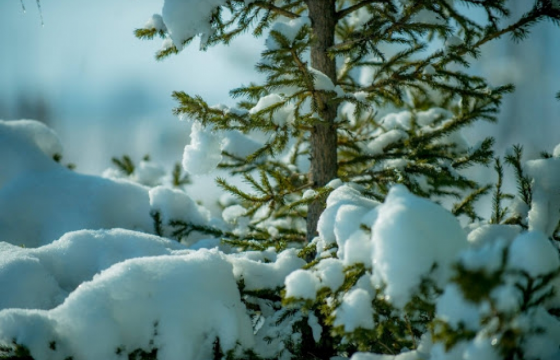ЦАГ АГААР: Улаанбаатар хотод өдөртөө -20 хэм хүйтэн