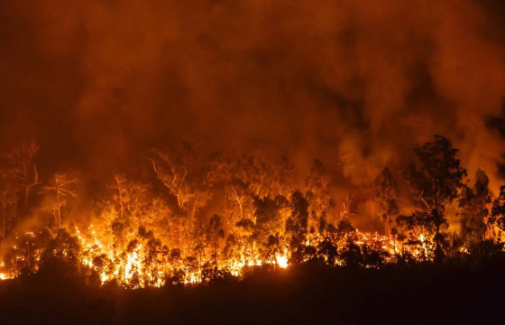 Хэнтий аймагт сурагчдын дотуур байрны дээвэр шатжээ