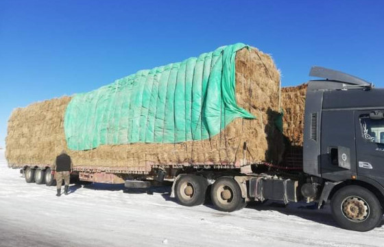 ХХААХҮЯ:  Энэ өвөл 84.5 хувийн өвс, тэжээлийн нөөцтэй байна 