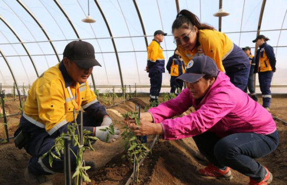 ЖИМС, ХҮНСНИЙ НОГОО, МОД ТАРИАЛАХ СУРГАЛТАД ЦОГТЦЭЦИЙ СУМЫН ИРГЭДИЙГ ХАМРУУЛЛАА