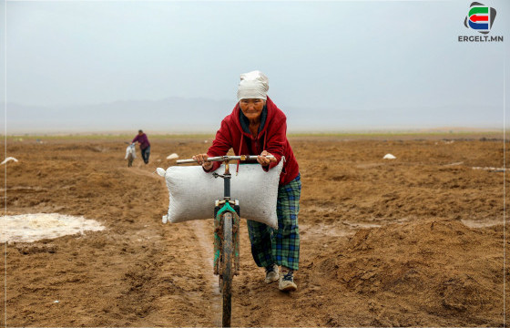 ДАВС ҮҮРСЭН ДӨЧИН ЖИЛ