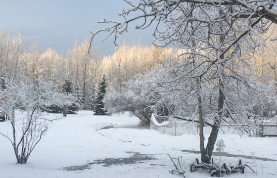 ЦАГ АГААР: Улаанбаатар хотод өдөртөө -17 хэм хүйтэн