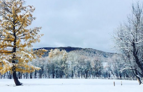Энэ долоо хоногт ихэнх нутгаар хүйтний эрч чангарна