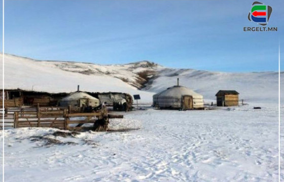 МАЛЫН ӨВӨЛЖӨӨ 15-80 САЯ ТӨГРӨГИЙН ҮНЭТЭЙ