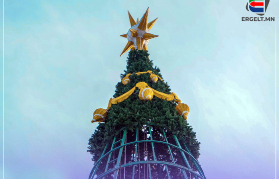 СҮЛД МОДОО ДУТУУ ЗАССАНАА Ч АНЗААРАХ ЗАВГҮЙ ЯВНА, ХОТЫН МЭЭР