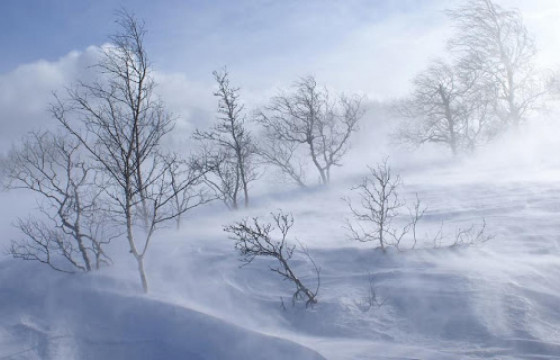 ЦАГ АГААР: Улаанбаатар хотод өдөртөө -17 хэм хүйтэн 