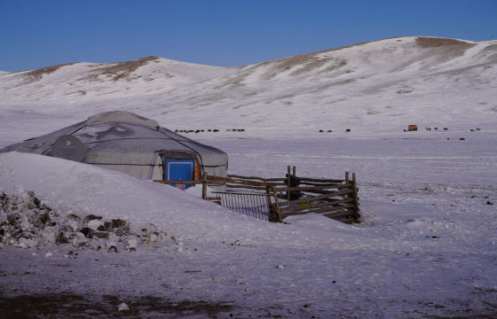 Шадар сайд С.Амарсайхан өвөлжилт хүндэрч буй аймаг, сумдуудад ажиллаж байна 