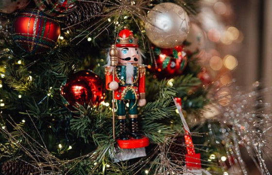 МИНИЙ ҮЗСЭН БУЙД ГАЗРЫН ШИНЭ ЖИЛ