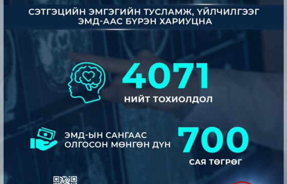 Сэтгэцийн эмгэгийн эмийн эмчилгээг ЭМДС-аас бүрэн хариуцна