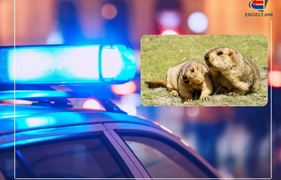 ТАРВАГАН ТАХЛААР ӨВДӨЖ, ЭМНЭЛГИЙН ӨРӨӨНД АМИА ЕГҮҮТГЭСЭН С-ИЙН ЭГЧ: Дүүд минь тусламж үзүүлээгүй эмч нарын зөв, хүнээ алдсан бидний буруу болж хэрэг хаагдсан