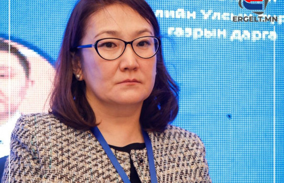 Б.ЛАКШМИ: ТӨСВИЙН АЛДАГДЛАА НӨХӨХИЙН ТУЛД ДАХИН ЗЭЭЛ АВАХ ГЭЖ БАЙНА