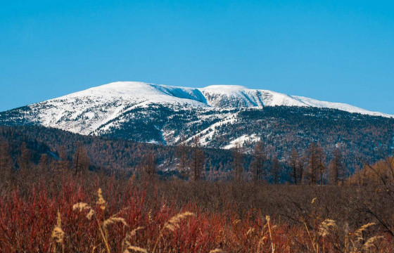 ЦЕГ: Бурхан халдун ууланд хэргийн газрын үзлэг хийж байсан учир нар харахаар очсон иргэдийг уул руу гаргаагүй