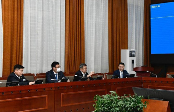 ТББХ: “Зөвлөлдөх зөвлөл байгуулах тухай” УИХ-ын тогтоолын төслийг хэлэлцлээ