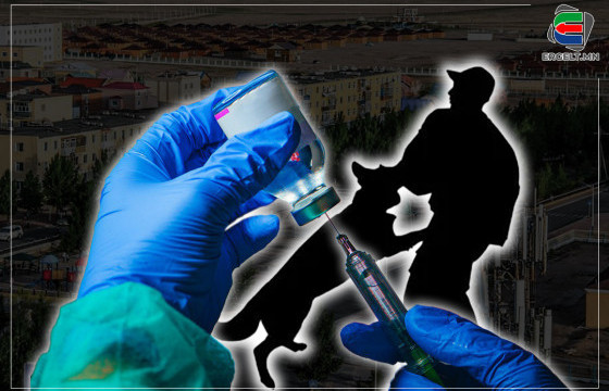 Нохойд хазуулж, өндөр тунтай сүрьеэгийн вакцин хийлгэсэн иргэдийн бие тааруу байгаа ч ЭРҮҮЛ МЭНДИЙН ГАЗРЫНХАН БУРУУГАА ХҮЛЭЭХГҮЙ ГЭВ 