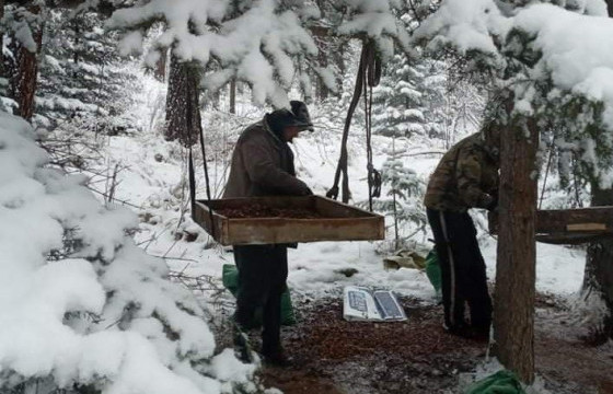 Самар түүхээр явсан 25 настай эрэгтэй сураггүй алга болжээ