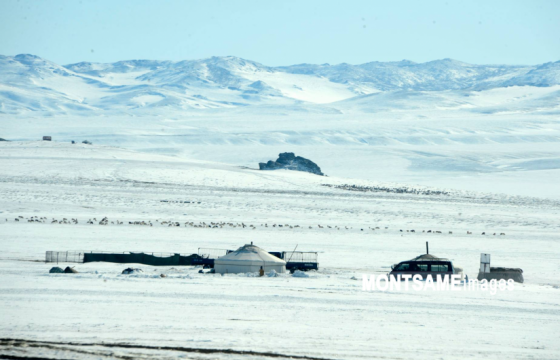 ХХААХҮЯ: Нийт нутгийн 70 гаруй хувь цастай байна