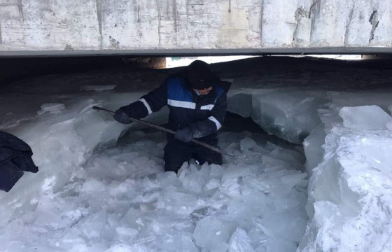 Халиа тошин үүсэж буй байршлуудад шуурхай арга хэмжээ авч байна