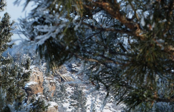 ЦАГ АГААР: Улаанбаатар хотод өдөртөө -5 хэм хүйтэн