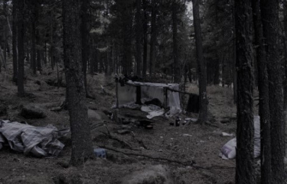 ХХЕГ: Хилийн зурвас газарт “Зил-131” автомашинтай 11 иргэн самар түүж байсныг илрүүлсэн