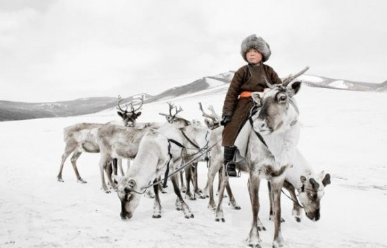 Цаа, цасны баяр ирэх сард болно 