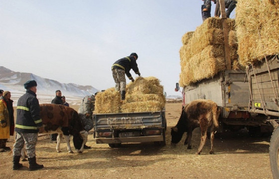 Улсын хэмжээнд 16.3 мянган тонн өвсний нөөцтэй байна