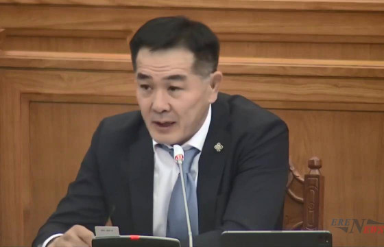 Ц.ЦЭРЭНПУНЦАГ: Гадаадын хөрөнгө оруулалтын хуулиар нэг улсын хөрөнгө оруулалт манай улс руу оруулж ирж буй гадаадын хөрөнгө оруулалтын гуравны нэгээс илүүгүй байх ёстой 