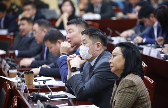 Сар шинийн баярыг угтаж 