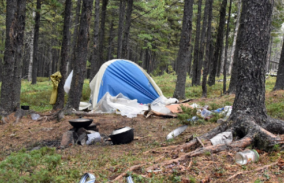 “Самарт авч явна” гэх нэрийдлээр иргэдийг албадан хөдөлмөрлүүлсэн байж болзошгүй хэргийг шалгаж байна