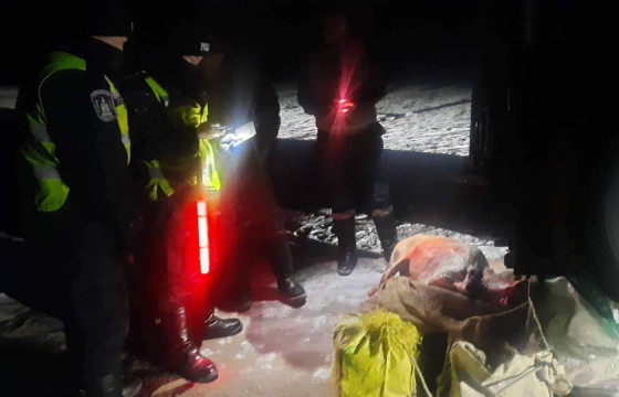 465 БОД МАЛ ХУЛГАЙЛЖ, ИРГЭДЭД 1.2 ТЭРБУМ ТӨГРӨГИЙН ХОХИРОЛ УЧРУУЛЖЭЭ