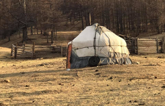 Адуундаа яваад сураггүй болсон иргэн отрын гэртээ нас барсан байжээ