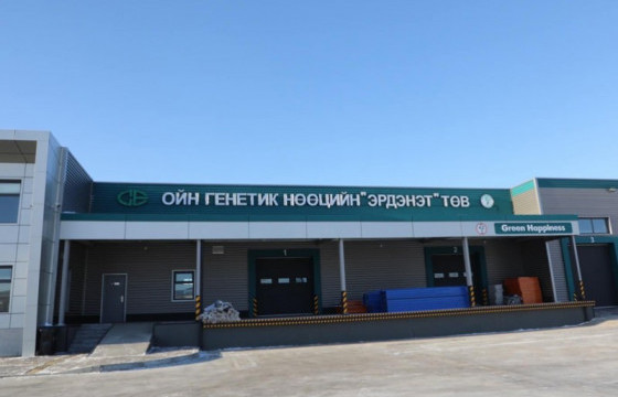 Тэрбум мод үндэсний хөдөлгөөний хүрээнд Орхон аймагт “Эрдэнэт 100 сая мод” хөтөлбөр хэрэгжиж байна