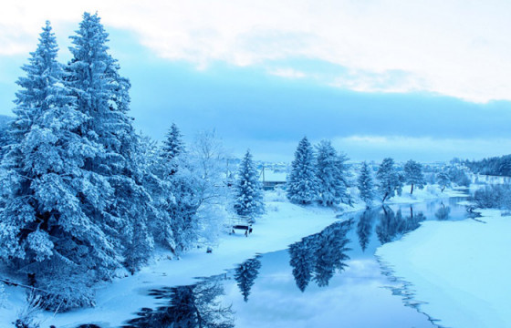 ТАС НЯС ХИЙЖ БАЙНА ДАА, МОНГОЛЫН ӨВӨЛ