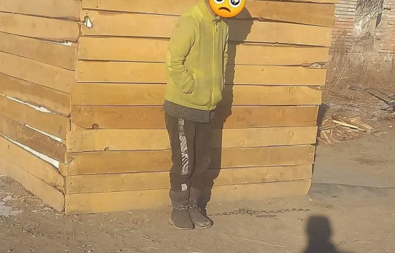 ИРГЭН А: СЭТГЭЦИЙН ЭМГЭГТЭЙ ДҮҮГЭЭ 18 ЖИЛ ХАРАХДАА ЗАРИМ ҮЕД ЗОДУУЛЖ, АРГА БУЮУ ГИНЖИЛДЭГ ГЭДГИЙГ ХҮМҮҮС ОЙЛГОХГҮЙ ЮМ