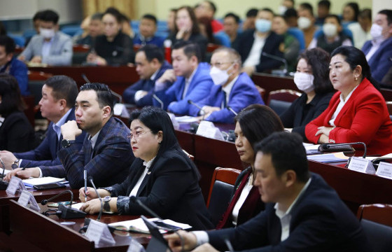 Өөрийн хөрөнгөөр тохижилт, ногоон байгууламж хийсэн иргэн, аж ахуйн нэгжийг урамшуулах хөшүүргийг бий болгоно