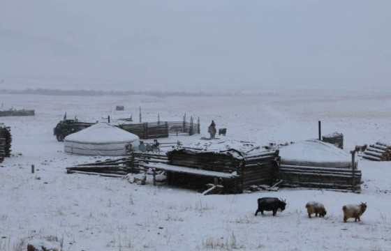 Нийт нутгийн 70 гаруй хувь нь цастай байна
