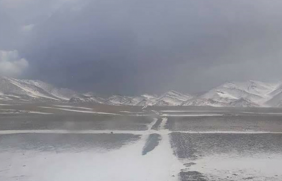 Сэтгэцийн өөрчлөлттэй иргэн гэрээсээ гараад сураггүй алга болжээ