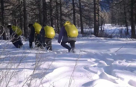 ӨВДӨГ ДАВСАН ЦАСТАЙ ХӨВЧ ТАЙГАД ХЭДЭН БАЙГАЛЬ ХАМГААЛАГЧ ХУЖИР ҮҮРЭЭД АЛХАЖ БАЙХАД...          
