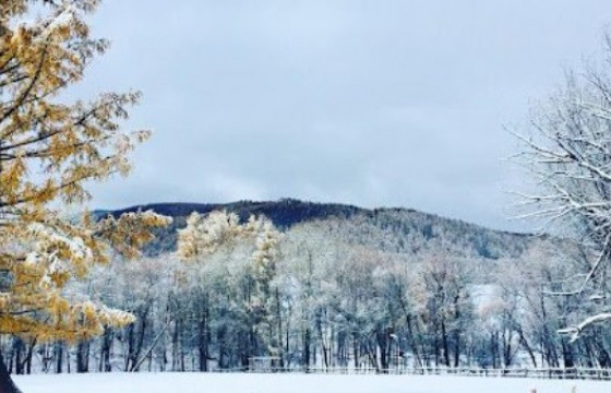 ЦАГ АГААР:  Улаанбаатар хотод өдөртөө -11 градус хүйтэн