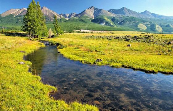 Хүрээлэн буй орчны эсрэг гэмт хэрэг улсын хэмжээнд 7.0 хувиар буурчээ