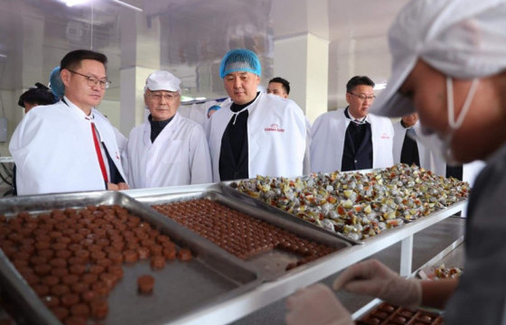 Ерөнхийлөгч У.Хүрэлсүх үндэсний үйлдвэрлэгч аж ахуйн нэгжүүдэд ажиллаж байна