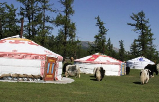 Монгол Улсын Засгийн газраас Турк руу 20 монгол гэр илгээжээ